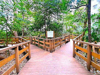 公園　文京区立千石緑地（公園）まで195m