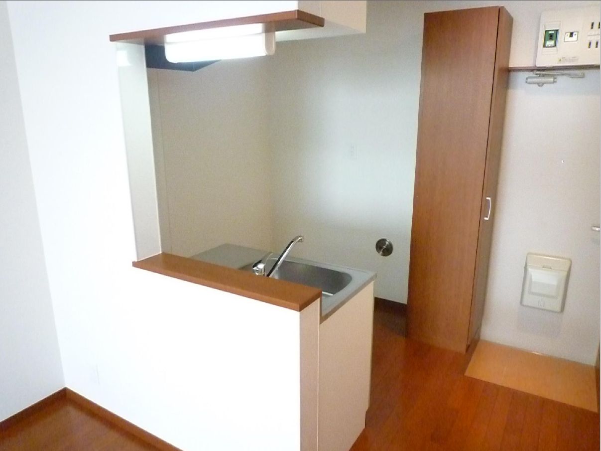 玄関　※イメージ別号室写真