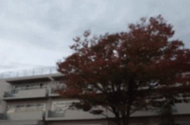 小学校　川口市立中居小学校（小学校）まで342m