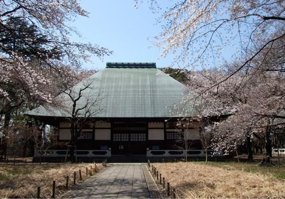 その他　九品仏浄真寺（その他）まで660m