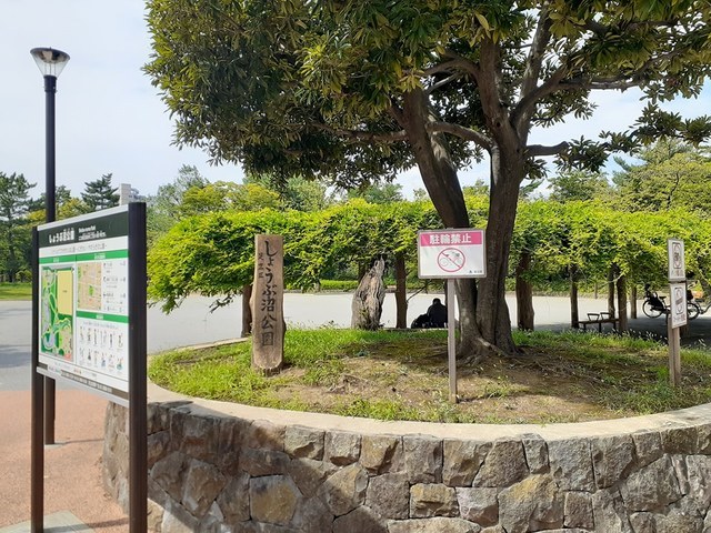 公園　しょうぶ沼公園（公園）まで290m