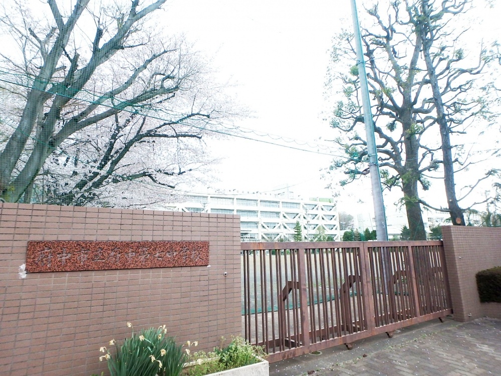 中学校　府中市立府中第七中学校（中学校）まで1297m