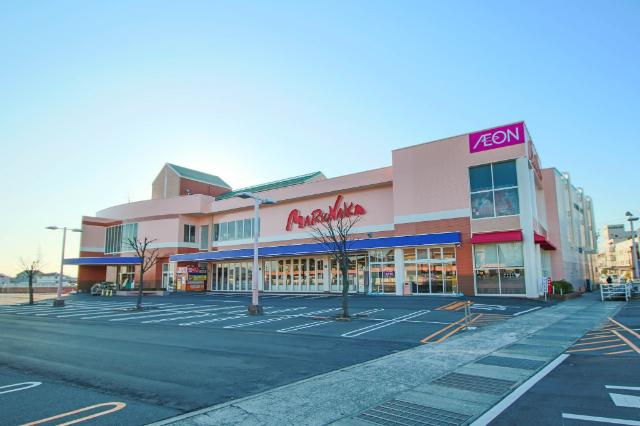 スーパー　マルナカ平井店（スーパー）まで738m