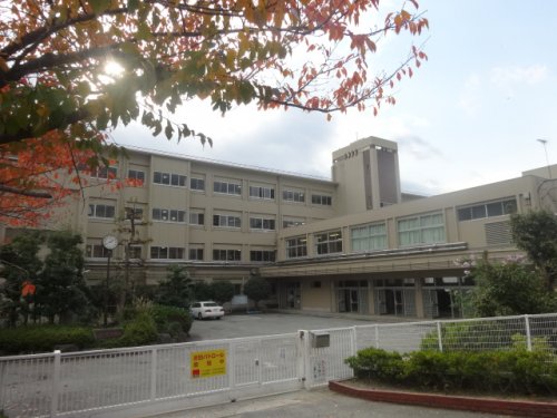 中学校　宝塚中学校（中学校）まで378m