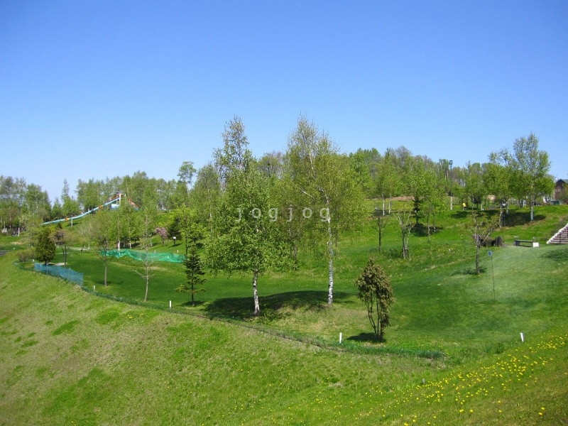 公園　虹ケ丘公園（公園）まで1603m
