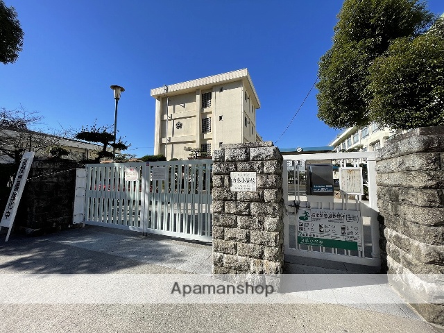 小学校　白島小学校（小学校）まで636m