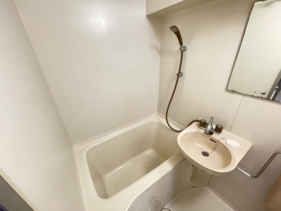 バス・シャワールーム　※別部屋の写真です