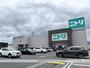 ホームセンター　ニトリ長浜店（ホームセンター）まで697m