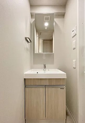 洗面設備　同タイプ部屋　参考写真です