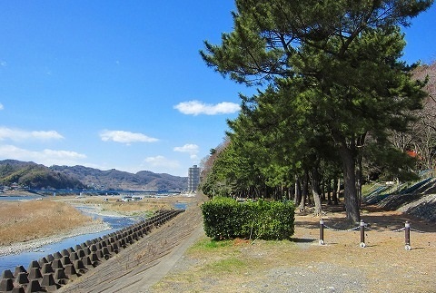 その他　望地弁天キャンプ場（その他）まで900m