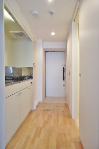 玄関　※別号室写真です