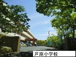 小学校　芦原小学校（小学校）まで550m