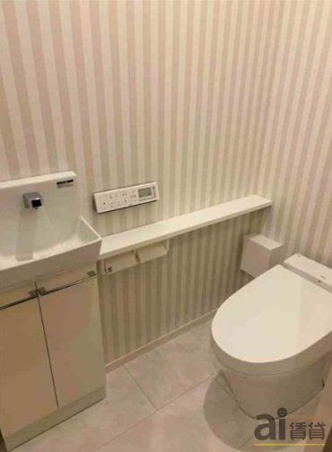 トイレ　～同仕様写真～