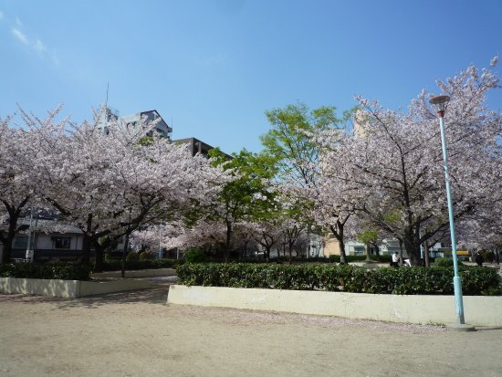 公園　滝川公園（公園）まで364m