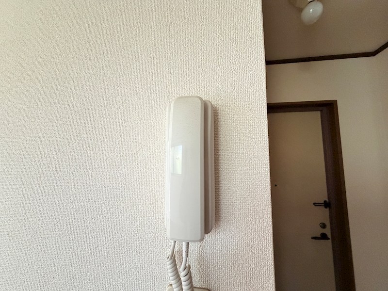 ビクトワールシェルのその他写真