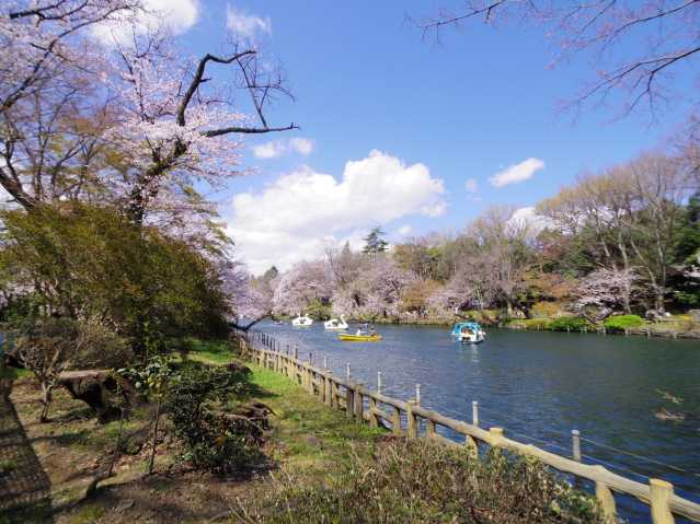 公園　井の頭恩賜公園（公園）まで490m