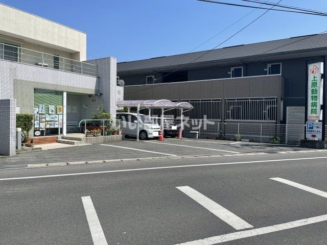 病院　上原動物病院（病院）まで994m