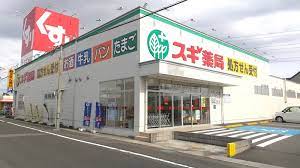 ドラックストア　スギドラッグ 鏡島店（ドラッグストア）まで3073m