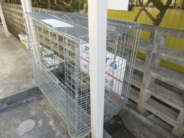 その他共有部分　★お部屋探しは、タウンハウジング多摩センター店へ★