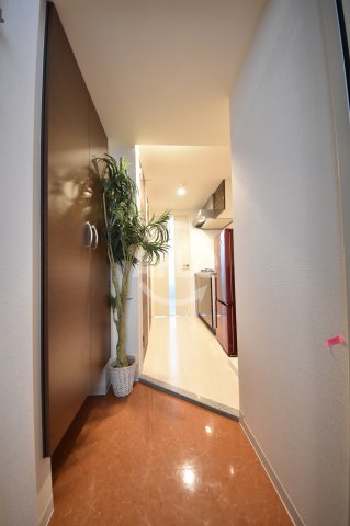 玄関　Luxe西長堀（ラグゼ西長堀）　玄関