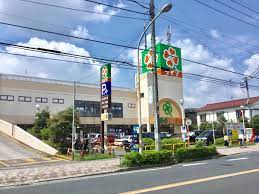 スーパー　ライフ宿河原店（スーパー）まで850m