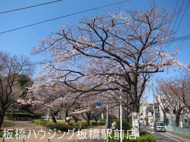 公園　都立城北中央公園（公園）まで1276m