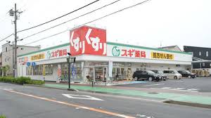 ドラックストア　スギ薬局 泉大津東雲店（ドラッグストア）まで650m