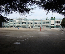 高校・高専　私立桐朋学園大学（高校・高専）まで431m