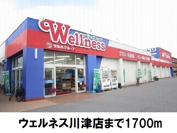 ドラックストア　ウェルネス川津店（ドラッグストア）まで1700m