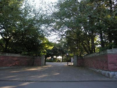 幼稚園・保育園　千葉明徳短期大学付属幼稚園（幼稚園・保育園）まで260m