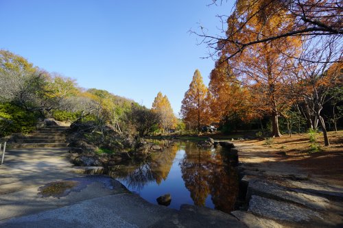 公園　泉谷公園（公園）まで311m