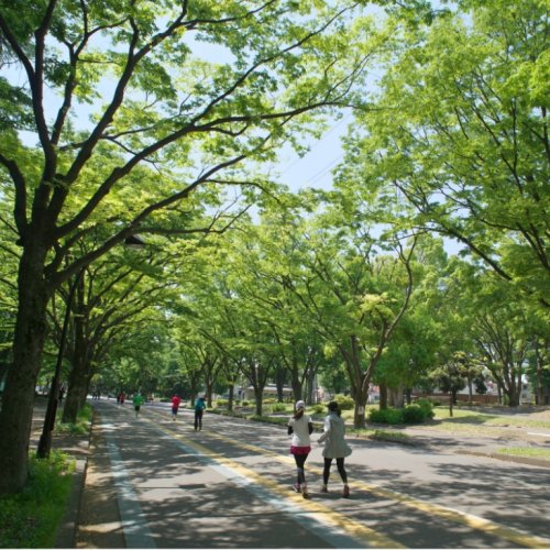 公園　駒沢オリンピック公園（公園）まで1205m