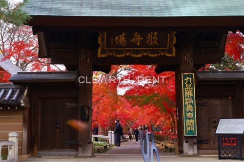 その他　九品仏淨眞寺（その他）まで1249m