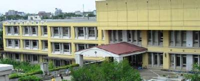 小学校　中町小学校（小学校）まで10m