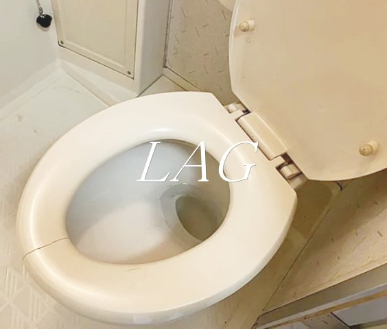トイレ　トイレです。