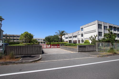 中学校　堺市立赤坂台中学校（中学校）まで484m