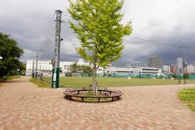 公園　中野区立南台いちょう公園（公園）まで631m