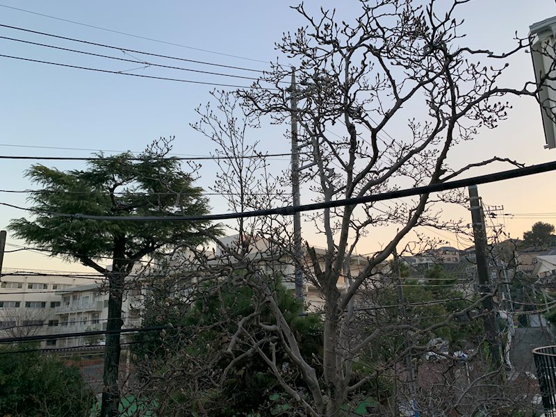 眺望