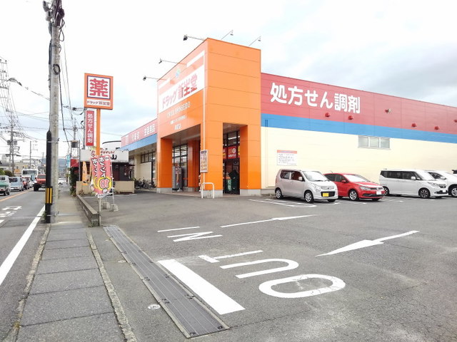 ドラックストア　ドラッグ新生堂昇町店（ドラッグストア）まで650m