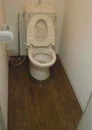 トイレ　トイレです