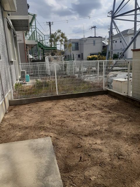 庭