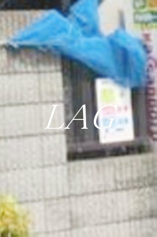 その他共有部分　ゴミ捨て場です。