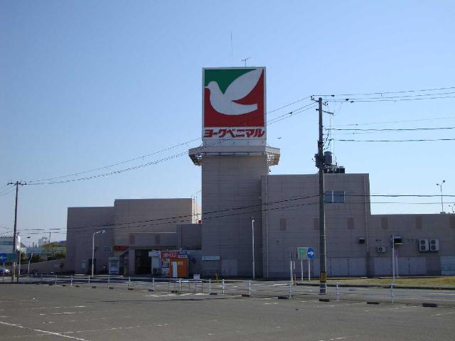 その他　大型スーパー（ヨークベニマル）大和吉岡店（その他）まで200m