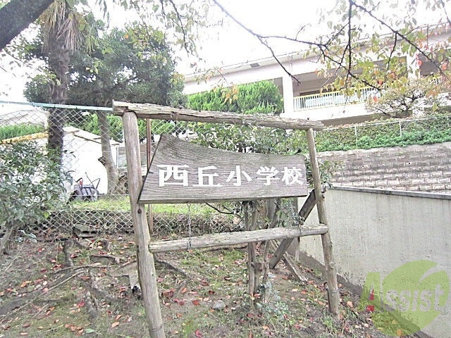 小学校　西丘小学校（小学校）まで322m