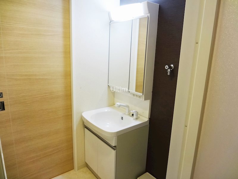 洗面設備　※同物件の違うお部屋の写真です
