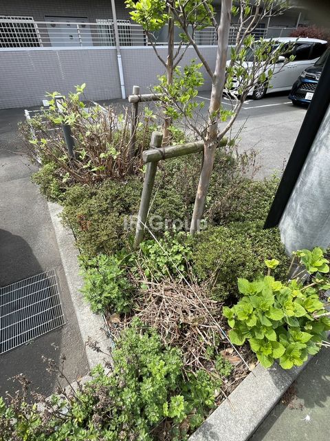 庭