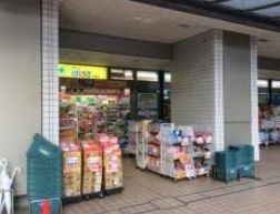 ドラックストア　どらっぐぱぱす月島店（ドラッグストア）まで182m