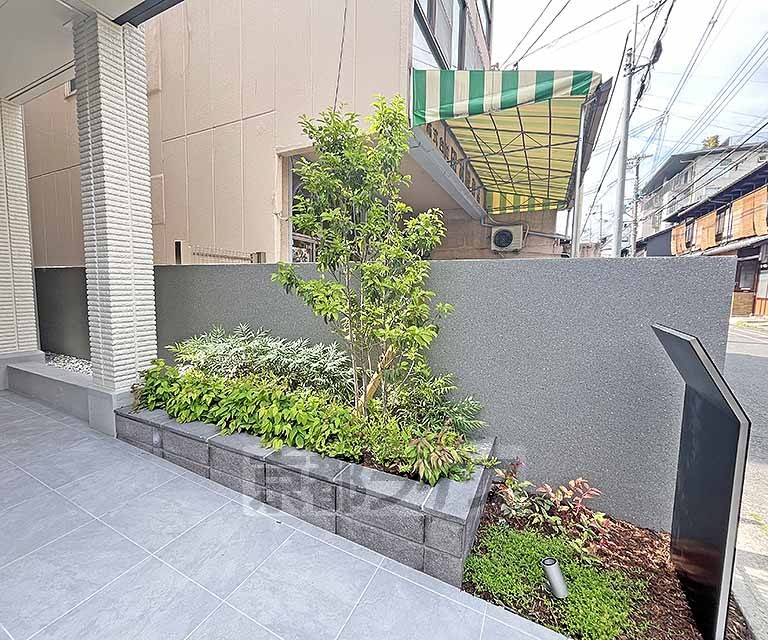庭