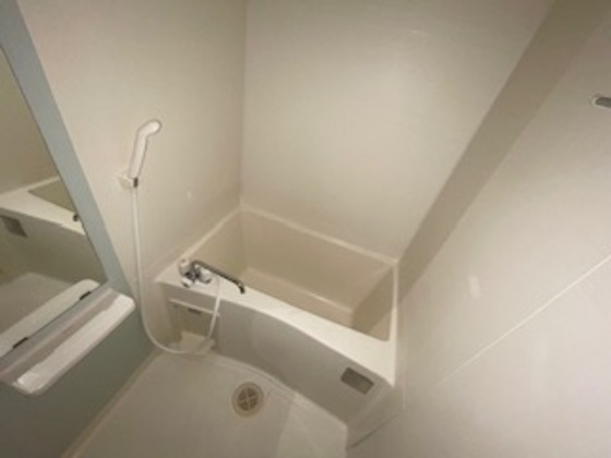 バス・シャワールーム　※別部屋の写真です