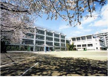 小学校　世田谷区立希望丘小学校（小学校）まで297m